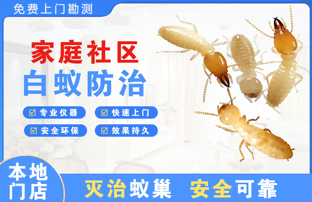 瑞安家庭社区白蚁防治