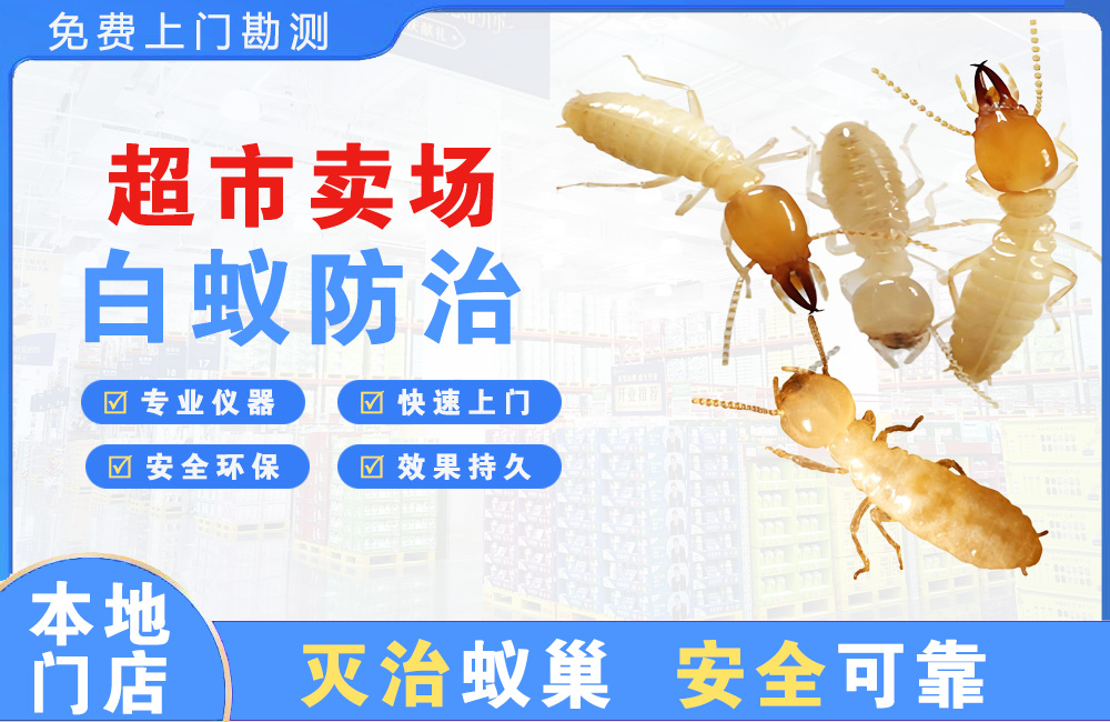 瑞安超市卖场白蚁防治