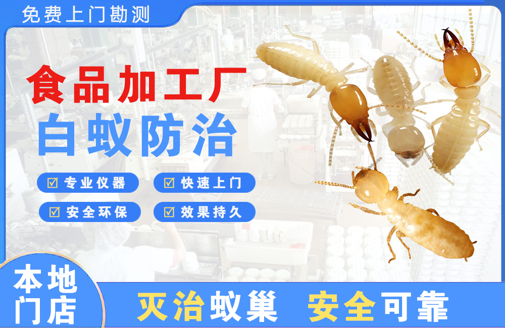 瑞安食品加工厂白蚁防治