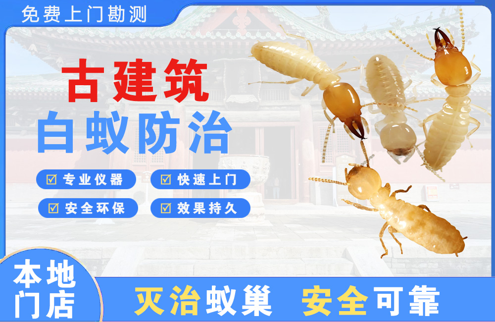 瑞安古建筑白蚁防治