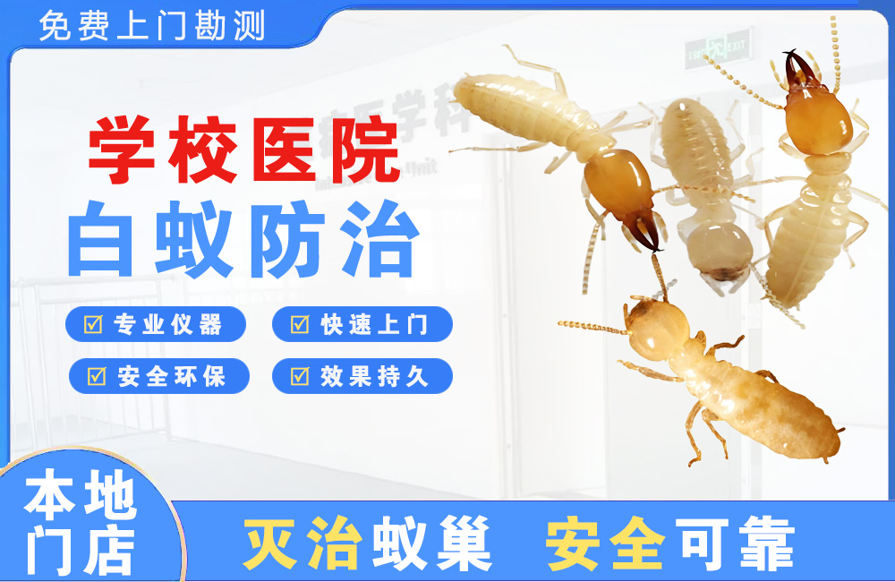 瑞安学校医院白蚁防治