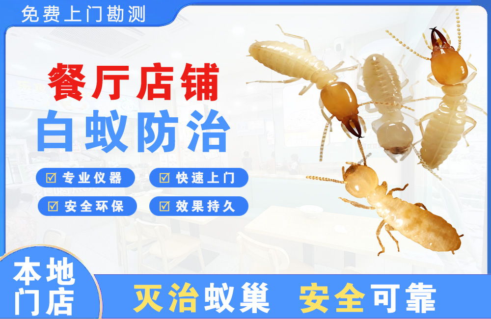 瑞安餐厅店铺白蚁防治